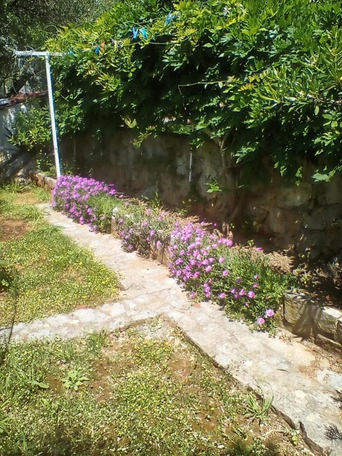 Apartman-Maja-Krk Krk Town Zewnętrze zdjęcie